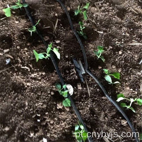 Zona de irrigação por gotejamento com estufa de vegetais